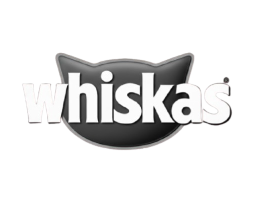 Brand Partner 4