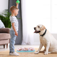 Silicone Slow Feeder Dog Bowl 7