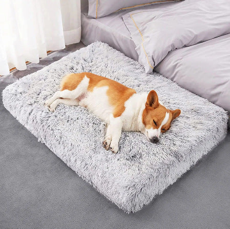 Plush Square Pet Bed - Wave Memory Foam Orthopedic Dog Sofa for Deep Sleep