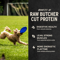 Vital Essentials Freeze Dried Dog Treats 3