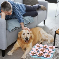 Silicone Slow Feeder Dog Bowl 4