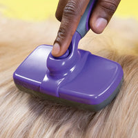 Self-Cleaning Slicker Brush 2