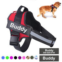 Personalized No-Pull Dog Harness - Reflective & Breathable Adjustable 2