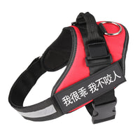 Personalized No-Pull Dog Harness - Reflective Breathable Adjustable 13