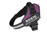 Personalized No-Pull Dog Harness - Reflective Breathable Adjustable 12