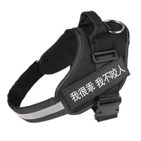 Personalized No-Pull Dog Harness - Reflective Breathable Adjustable 5